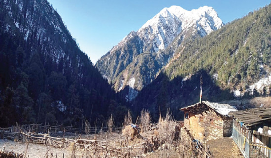 36 new cases, 20 recoveries in 24 hours