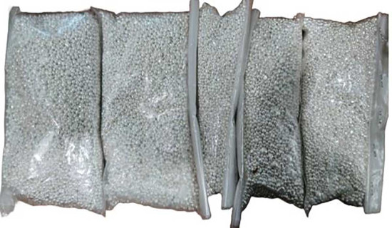 Status Of The Bengal Monitor Lizard