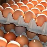 CPN (Maoist Center) candidate Acharya elected PA member from Morang 6 B