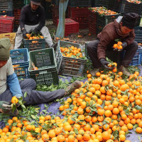 Aditya Dhwaj Joshi Memorial Award goes to Sharma and Onta