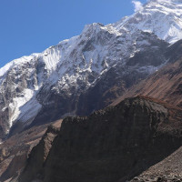 Reception in honour of President Paudel in Berlin
