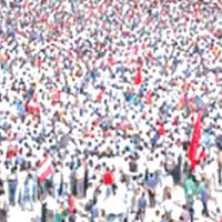 Vulture breeding centre at CNP to close down