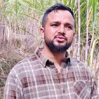 House Of Representatives Polls Urgent