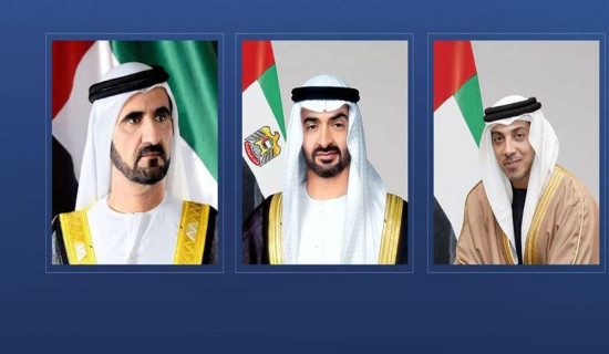 Special govt. initiative a must to boost private sector morale: Dhakal