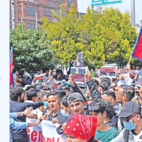 Burmese python spotted in Letang forest rescued