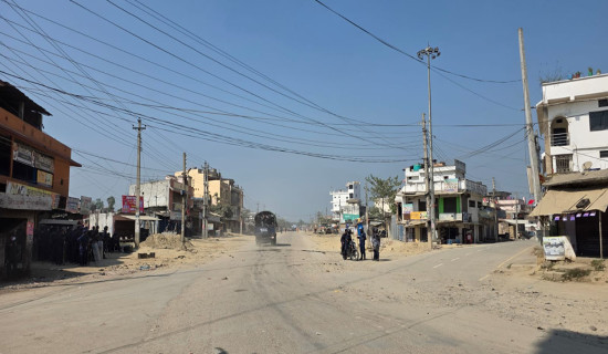 Blooming Marigold Flowers