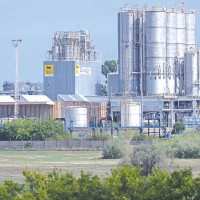 Engagement Shapes Foreign Ties