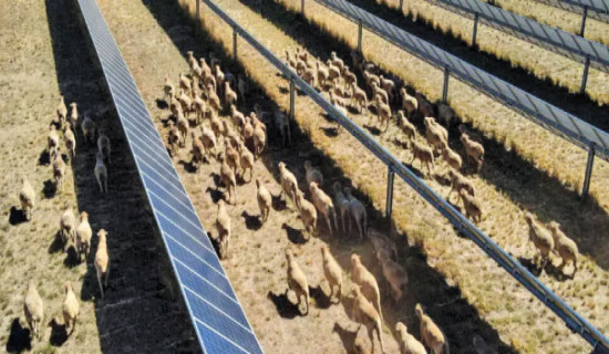 England rout Sri Lanka for 95 to win Super Eights opener