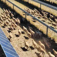 Tilaurakot not included in Heritage list  in 47th UNESCO Session