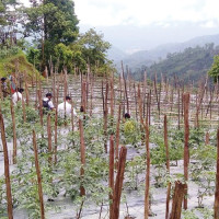 UN Resident Coordinator Yahia calls on Home Minister Aryal