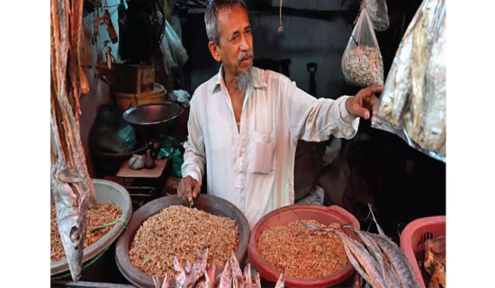 Election Commission mandates strict Banking procedures for campaign financing