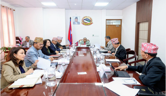 Dr Bhatta appointed Chairperson of Consumer Court