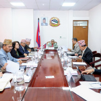 Splendor of Holi begins after installation of Chir in Basantapur
