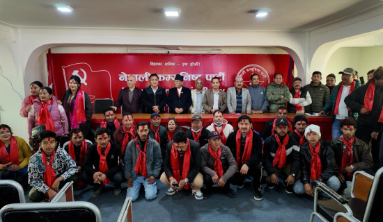 From streets to painting, Dhankuta’s orange town comes alive