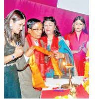 Several new wheat seed varieties developed