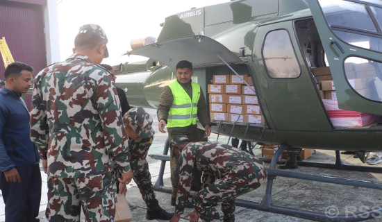 Traditional swings disappearing from villages