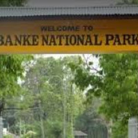 Morang suspends citizenship distribution services