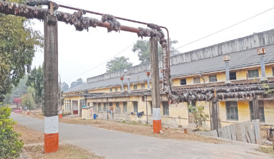 One dies, another gets injury in motorcycle accident