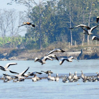 President Paudel to visit Baku to attend COP 29