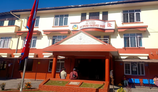 Migratory birds arrived here to escape harsh winter start returning