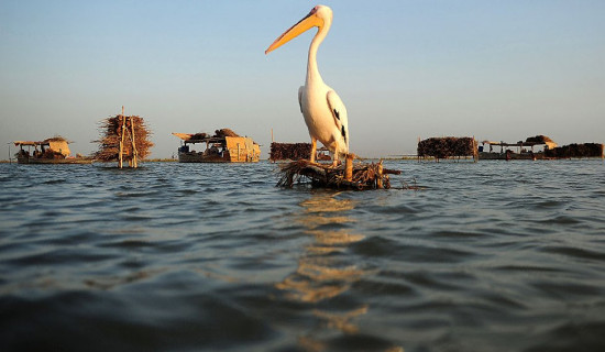 Pakistan fights to stop biggest lake from bursting