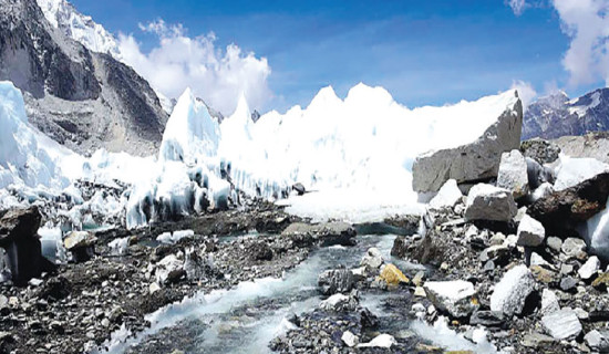 Parties float green slogans in election manifestoes