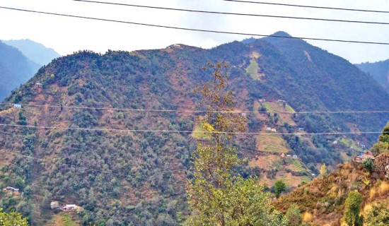 'Votes for those who deliver Lalpurja, not just promises'