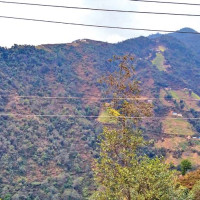 Muslim women receive voter education