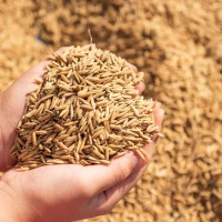 Doctors' resignation affects service at Provincial Hospital