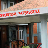 Government committed to build street people free nation: PM Oli