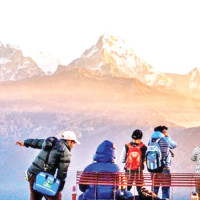 Electric vehicle owners, solar rooftops find mutual attraction