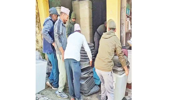 NPL 2025: Kathmandu, Lumbini playing in elimination round