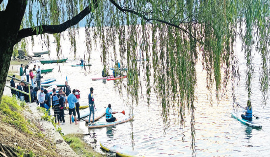 Chinese companies as outliers amid faltering global green transition