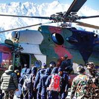 Increased banana farming substitutes import