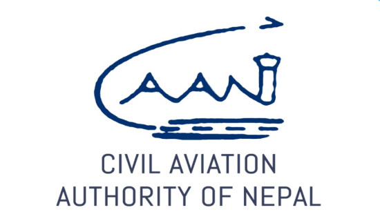 Need based domestic flights on poll day: CAAN