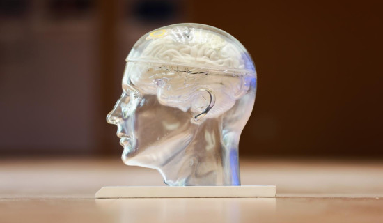 Brain–Computer Interfaces: China’s Strategic Bet on Constrained Frontier