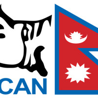 PHC receives nine complaints against 17 proposed ambassadors