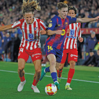 Punish Fraudulent Academic Institutes