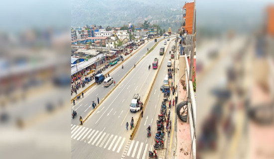 Punish Fraudulent Academic Institutes