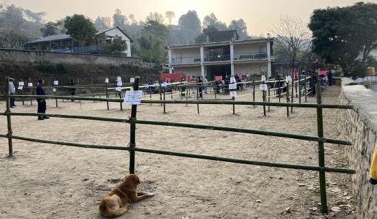 104-year-old woman votes in Mechinagar