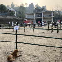 27% votes cast in Ilam