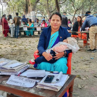 Bloomed  rhododendron calls for spring season