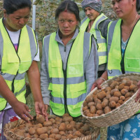 HPV vaccine to be administered at 215 locations in Dhankuta