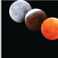 Precious Pottery Skill