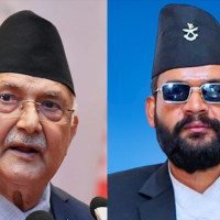 Upper House lawmakers show concerns over 'vague' words in budget