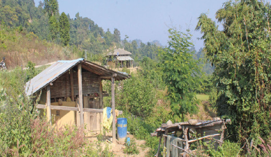 Mithila painting training workshop announced