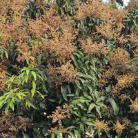 Small Earth Nepal to install climate tracking system in Dolpa