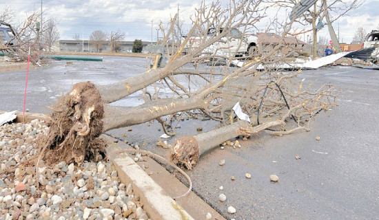 Michigan storm kills four