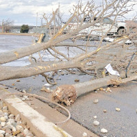 Empowering English Through Assessment