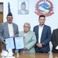 Coherent Higher Education Model In Need